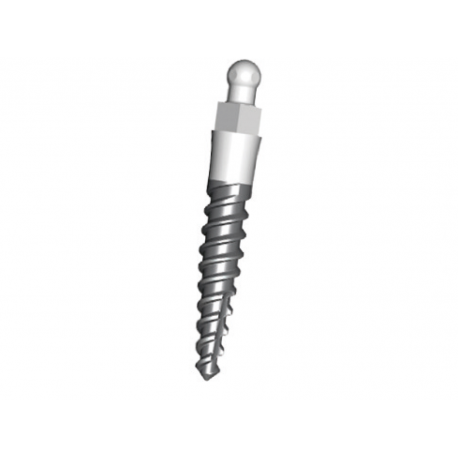 Wide-thread Mini Implantat
